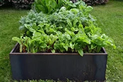 Nice Planter Nicer Corten Planter Bed 48″x48″x16″H Rust