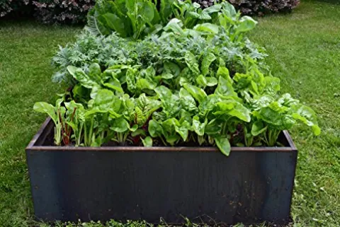 Nice Planter Nicer Corten Planter Bed 96″x48″x16″H Rust