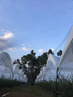 OldMacDonald Professional Grade Bird Netting 14ft x 4920ft Black