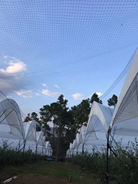 OldMacDonald Professional Grade Bird Netting 14ft x 4920ft Black