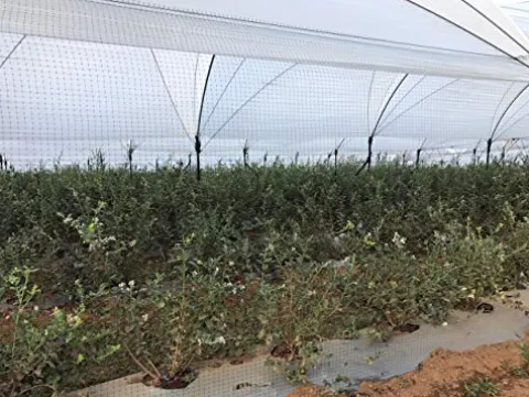 OldMacDonald Professional Grade Bird Netting 14ft x 4920ft Black