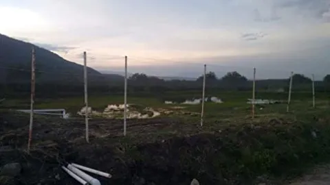 OldMacDonald Professional Grade Bird Netting 14ft x 4920ft Black