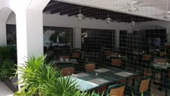 OldMacDonald Professional Grade Bird Netting 14ft x 4920ft Black