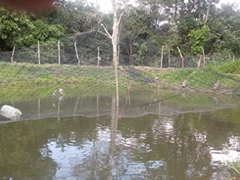 OldMacDonald Professional Grade Bird Netting 14ft x 4920ft Black