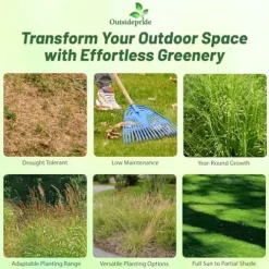 Outsidepride Southwest Native Grass Seed Mix 25 lbs Green