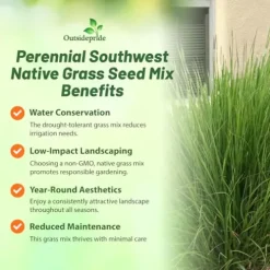 Outsidepride Southwest Native Grass Seed Mix 25 lbs Green