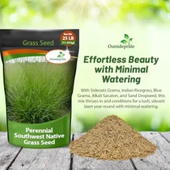 Outsidepride Southwest Native Grass Seed Mix 25 lbs Green