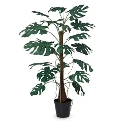 Park Hill Collection Climbing Giant Monstera Plant Green