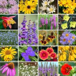 Park Seed Grow Your Own Wildflower Garden Seeds Native Perennial Mix 10 lbs