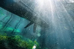 Pelican Catch 110 HDII Premium Angler Sit-On-Top Fishing Kayak – HyDryve Pedal System – Outback