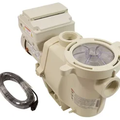 Pentair 011028 IntelliFlo VS Pool Pump Almond