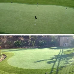 Petgrow Pro Putting Green Artificial Grass Turf 10FTX32FT Custom Width-10FT