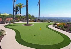 Petgrow Pro Putting Green Artificial Grass Turf 10FTX32FT Custom Width-10FT