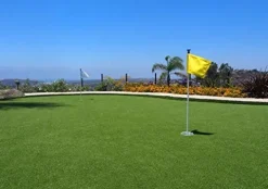 Petgrow Pro Putting Green Golf Artificial Grass Turf 13FTX50FT Custom Width-13FT