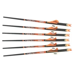 RAVIN R29X 450 FPS Crossbow Package with Hard Case and Arrows Black