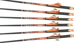 RAVIN R26X Crossbows .003 400-Grain Carbon Arrows 6-Pack & Classic Kickback Trucker Snapback Hat Black Bundle