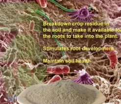 RAW Microbes Bloom 25lb – Beneficial Microbial Inoculant for Flowering Plants