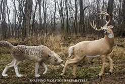 Rinehart Targets Signature 3D Kicking Deer Archery Target Multicolor