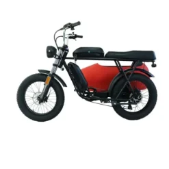 RZZLGY Electric Motorcycle with Sidecar, Snow Tires, 60km Range, Red