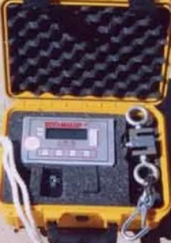 SaltH2o Scalemaster II Digital Scale 2000lbs