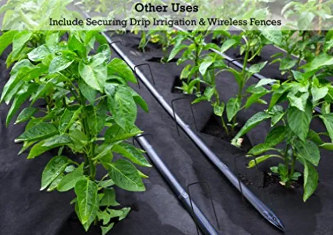 Sandbaggy 2 Inch Extra Wide Landscape Staples 9 Gauge Heavy Duty Silver (5000 Staples)