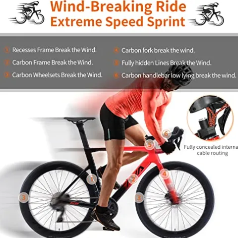 SAVADECK Carbon Fiber Road Bike ULTEGRA R8000 R8020 Disc Brake Thru Axle System Black White