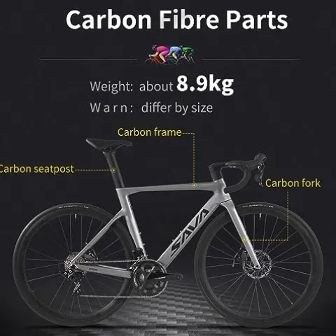 SAVADECK Carbon Road Bike Grey