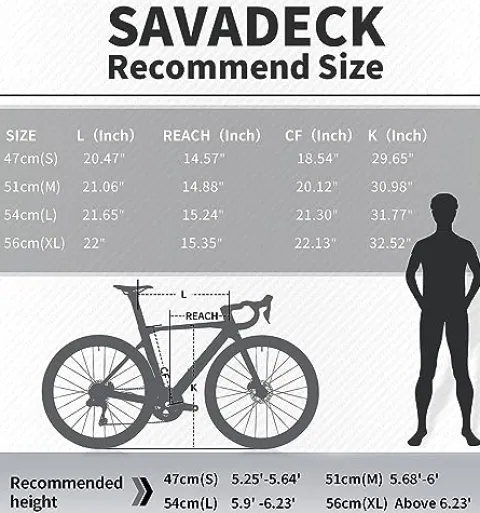 SAVADECK Carbon Road Bike Grey