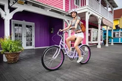 Schwinn Adult Beach Cruiser Bike Purple