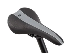 Schwinn Fastback AL Disc Sora Adult Performance Road Bike Grey