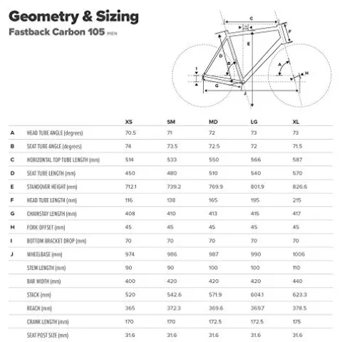 Schwinn Fastback Carbon Road Bike Black