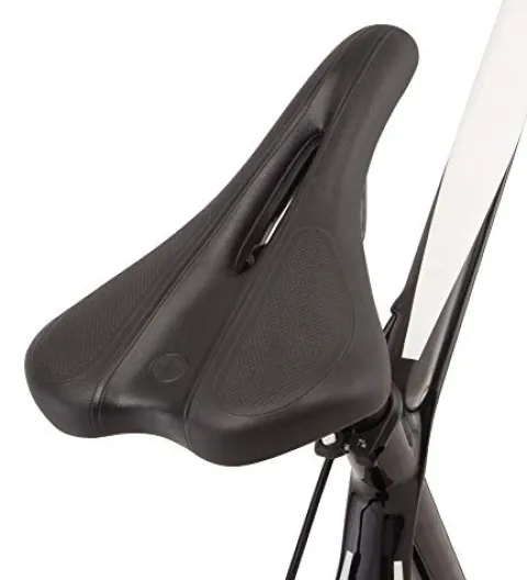 Schwinn Fastback Carbon Road Bike Black