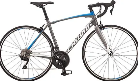 Schwinn Fastback Carbon Road Bike AL105 48cm Charcoal