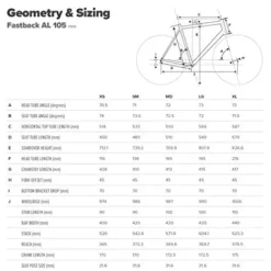 Schwinn Fastback Carbon Road Bike 51cm Medium Charcoal