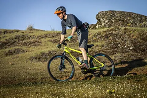 Schwinn High Timber ALX Mountain Bike Yellow