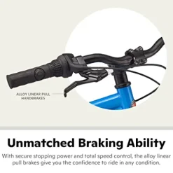 Schwinn High Timber Mountain Bike Blue/Green