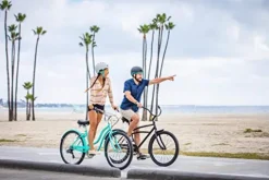 Schwinn Huron Adult Beach Cruiser Bike 3-Speed Black