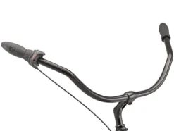 Schwinn Huron Adult Beach Cruiser Bike 26-Inch Black