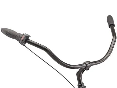 Schwinn Huron Adult Beach Cruiser Bike 26-Inch Black