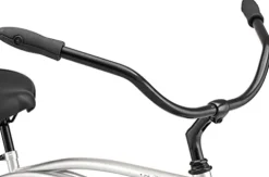 Schwinn Huron Adult Beach Cruiser Bike 26-Inch Silver