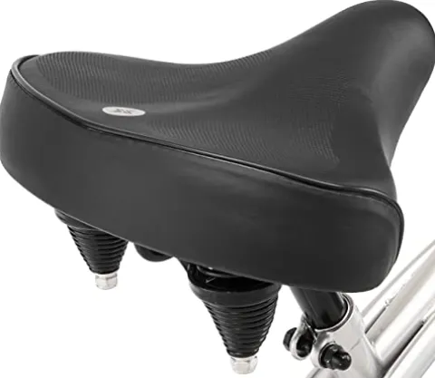 Schwinn Huron Adult Beach Cruiser Bike 26-Inch Silver