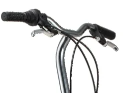 Schwinn Loop Adult Folding Bike 20-inch Wheels 7-Speed Drivetrain Rear Cargo Rack Carrying Bag Black