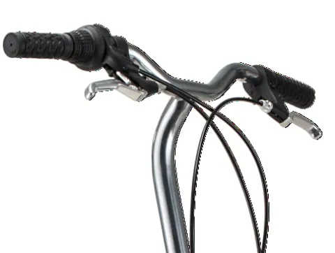 Schwinn Loop Adult Folding Bike 20-inch Wheels 7-Speed Drivetrain Rear Cargo Rack Carrying Bag Black