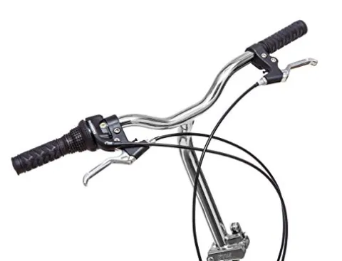 Schwinn Loop Adult Folding Bike 20-inch 7-Speed Drivetrain Titanium