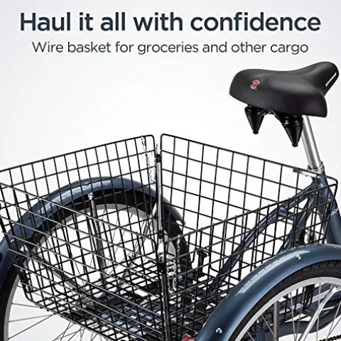 Schwinn Meridian Adult Tricycle Bike Slate Blue (24-Inch Wheels)