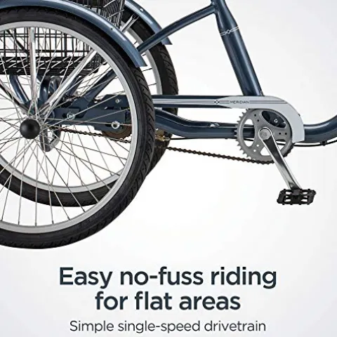 Schwinn Meridian Adult Tricycle Bike Slate Blue (24-Inch Wheels)