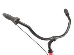 Schwinn Mikko Adult Beach Cruiser Bike Pink