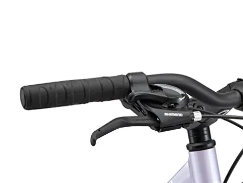 Schwinn Network 3.5 Hybrid Bike Purple