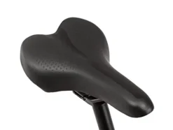 Schwinn Phocus 1.6 Disc Adult Road Bike Blue/Silver