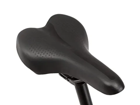 Schwinn Phocus 1.6 Disc Road Bike Blue